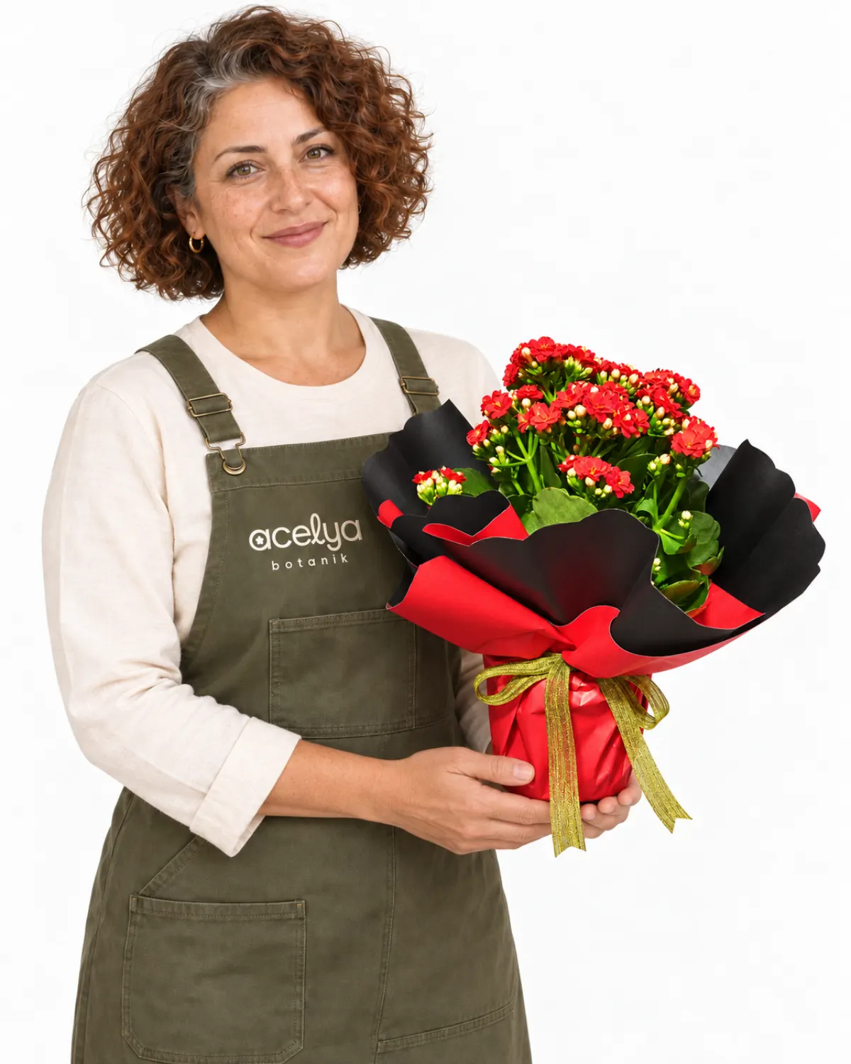 Kırmızı Kalonchoe Saksı Bitkisi 1