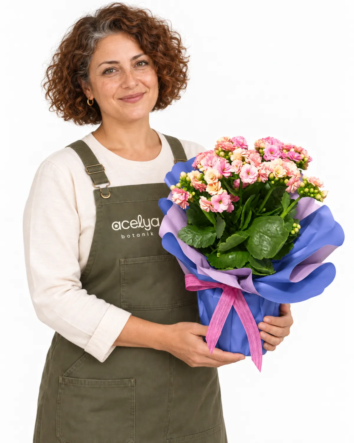 Pembe Kalonchoe Saksı Bitkisi 1