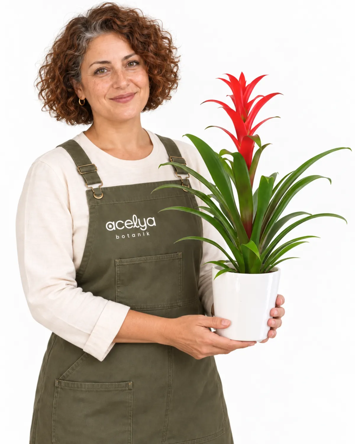 Seramikte Guzmania Saksı Bitkisi 1